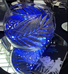 Top sprint canoer has double win at the 2014 Blues Awards