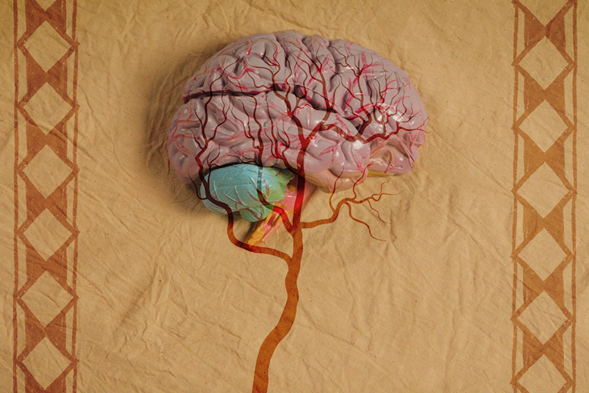 A screenshot from the videos showing a plastic brain.