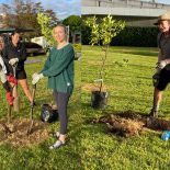 Impressions from AUT's community gardens