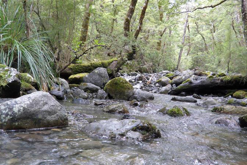 A regenerating environment