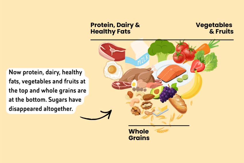 An image of the US food pyramid, with protein, dairy, healthy fats, fruit and vegetables now sitting on the top. Whole grains are at the bottom.